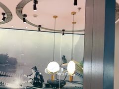 -老板恋上鱼(振华商厦店)