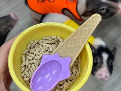 -猪盟咖啡店(玖洲道店)
