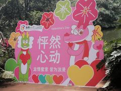 -海南热带野生动植物园