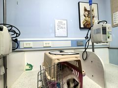 -纳吉亚猫专科动物诊疗中心(蒋宅口分院)