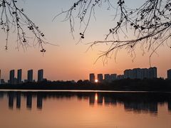 -可颂坊(凉城店)