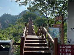 -大岭沟猕猴桃谷风景区