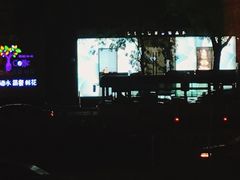 -BLACKSWAN黑天鹅(环球店)