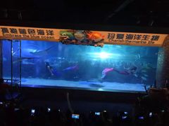 -成都浩海立方海洋公园