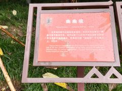 -乌山风景区