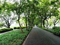 -苏堤停车场