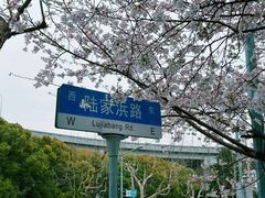 -南浦大桥长途旅游客运站