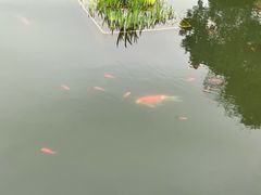 -圩墩遗址公园