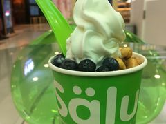 -Salud撒露欧洲冻酸奶(蓝色港湾店)