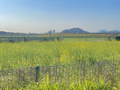 -光明小镇欢乐田园