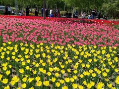 -长春公园(普阳街道)