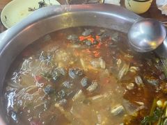 -大理.老字号渝记酸萝卜乌鱼(古城总店)