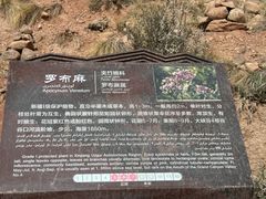 -新疆天山托木尔景区·大峡谷