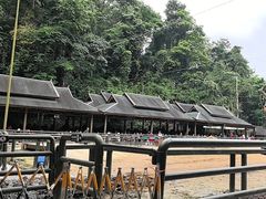 -野象谷景区