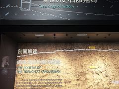 -盘龙城遗址博物院