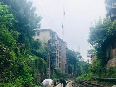 -黄桷坪涂鸦艺术街