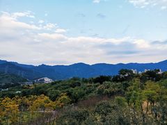 -牛岗山公园
