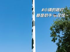 -君乐宝优致牧场