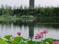 -西海子公园