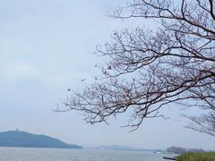 -蠡湖中央公园