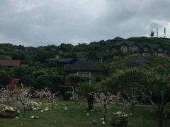 -鹿嘴山庄