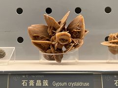 -中国地质博物馆