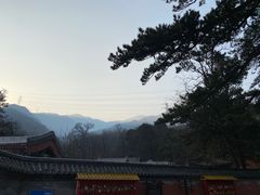-阳台山自然风景区