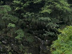 -鄣山大峡谷