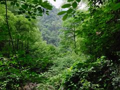 -藏龙百瀑风景区