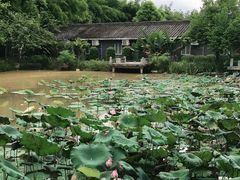 -林丰温泉度假山庄