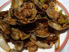 辣炒花蛤-渔民船说·北塘海鲜·天津菜·海肠捞饭(北塘古镇店)