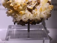 -湖南省地质博物馆