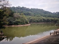 -滴水岩森林公园