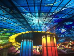 -捷运美丽岛站(The Dome of Light)