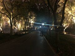 -苏堤停车场
