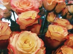 -西关84·History·Art·Cafe