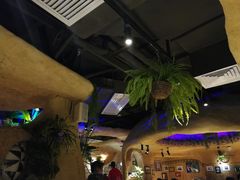 -大灰狼(中心书城店)