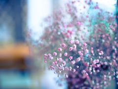 -远山有窑