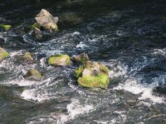 -阿哈湖国家湿地公园