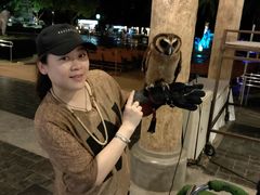 -清迈夜间动物园