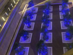 -南京禄口机场雅高铂尔曼大酒店