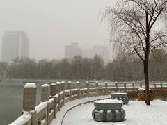 -迎泽公园