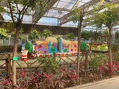 -南宫五洲植物乐园