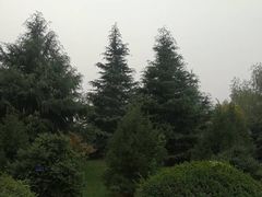 -西北农林科技大学(北校区)