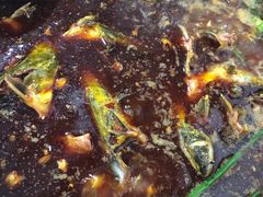 -金海椒罐罐鲢鱼(东方桂苑店)