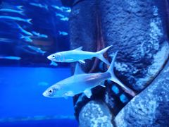 -波塞冬旅游度假区