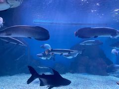 -多彩贵州城极地海洋世界