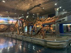 -国家自然博物馆