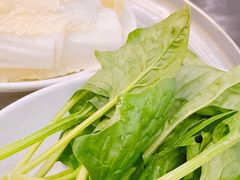 -太婆天府山珍酒楼(亚运村店)