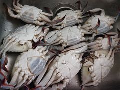 -盒马鲜生(大成店)